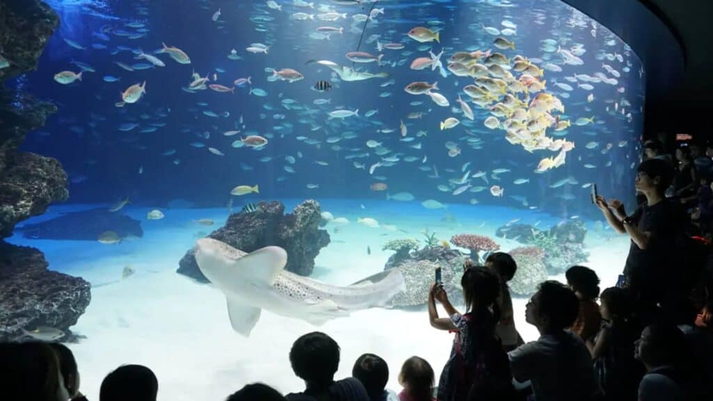 Toshima City Ward Area Sunshine Aquarium