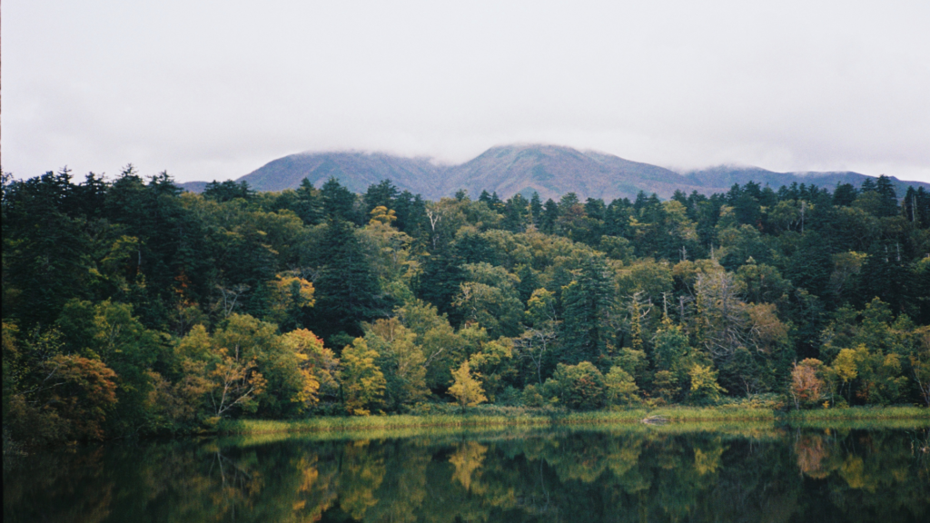Photo of Rishiri Island in Hokkaido with green forested mountains, home of Kamui whisky distillery