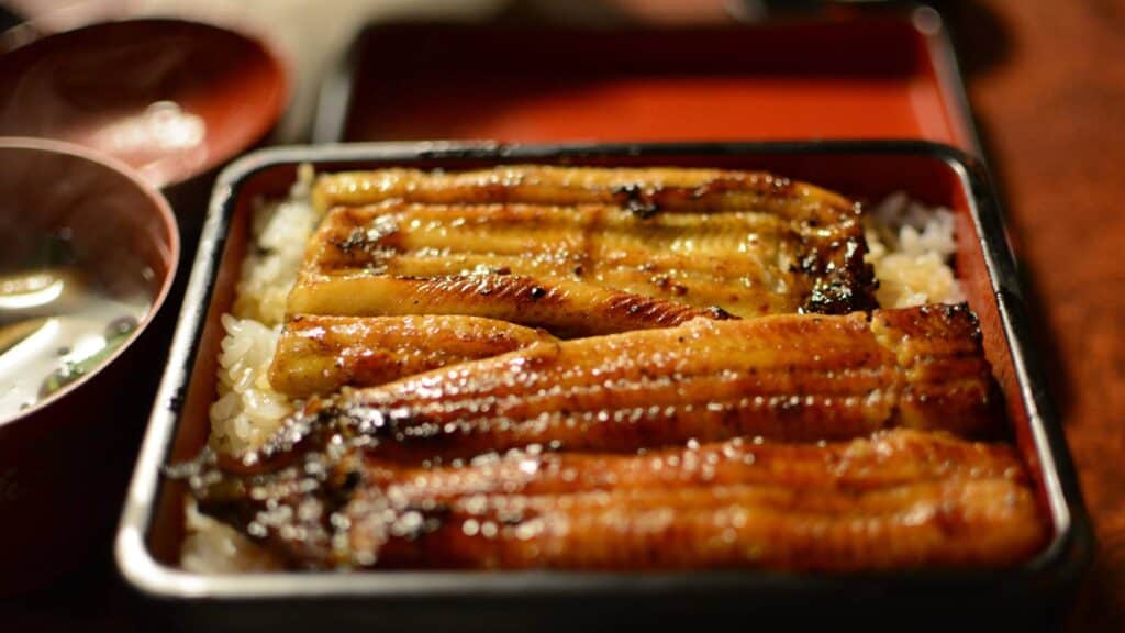 Unagi Day, Doyo no ushi no hi Why are Eels eaten on this day