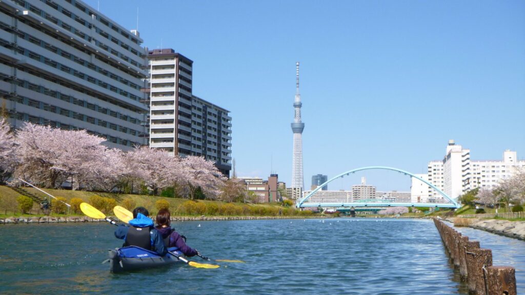 10 best spots to see Kawazu Kyu-Nakagawa River