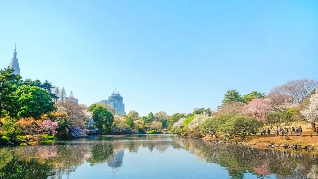 10 best spots to see Kawazu Shinjuku Gyoen