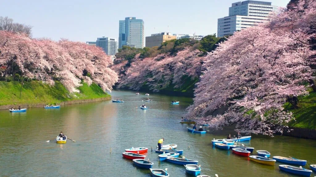 3-day Tokyo Chidorigafuchi