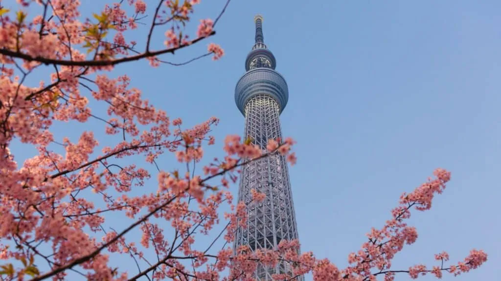 3-day Tokyo Skytree
