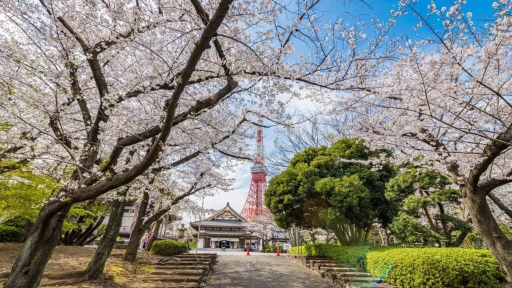 3-day Tokyo Zozoji Temple