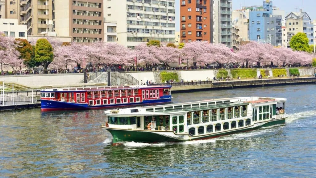 7-day Japan Itinerary Featuring Cherry Blossoms Sumida River