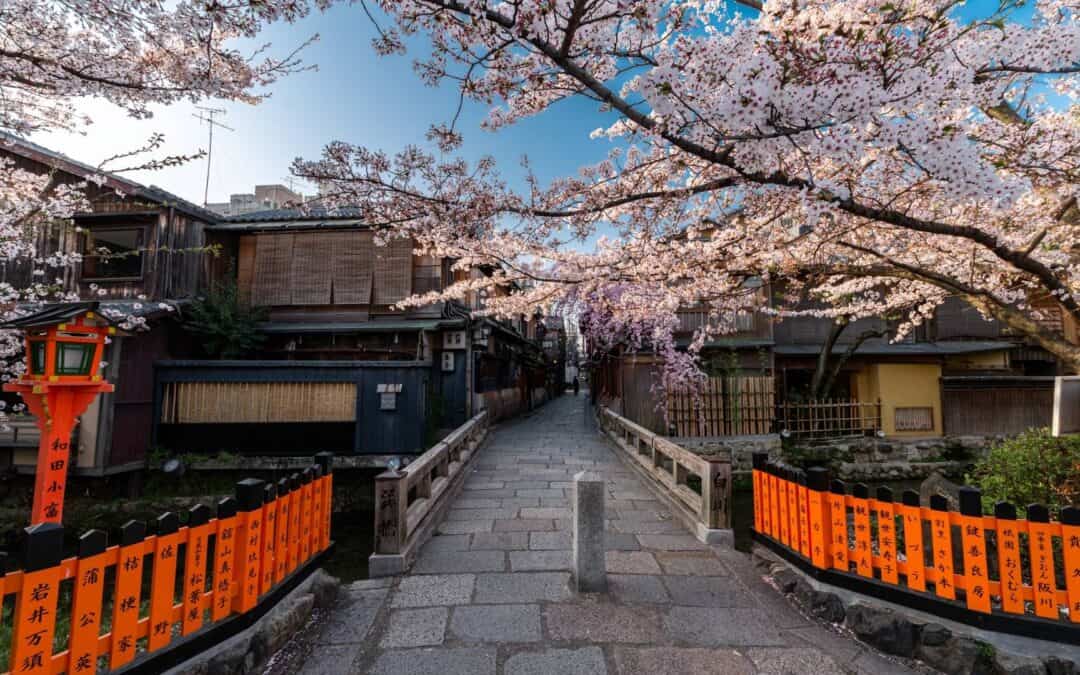 Gion Geisha District: Everything You Need to Know Before You Visit&nbsp;