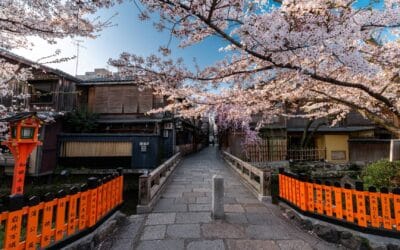 Gion Geisha District: Everything You Need to Know Before You Visit&nbsp;