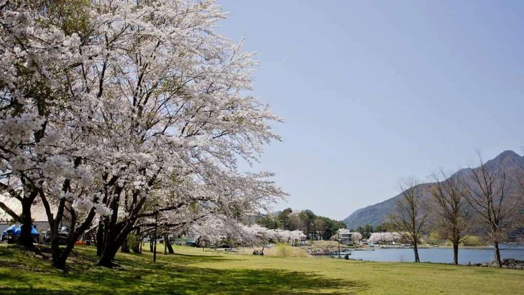 7-day Japan Itinerary Katsuyama Sikkogo Park