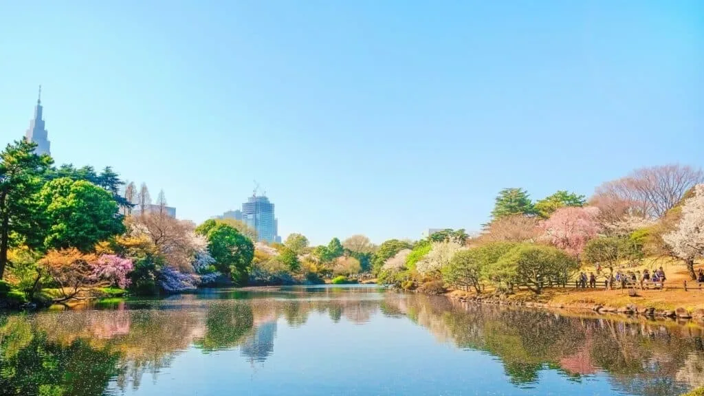 7-day Japan Itinerary Shinjuku Gyoen