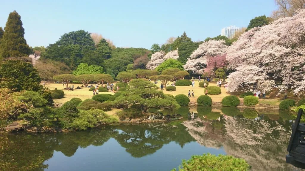 7-day Japan Itinerary Yoyogi Park