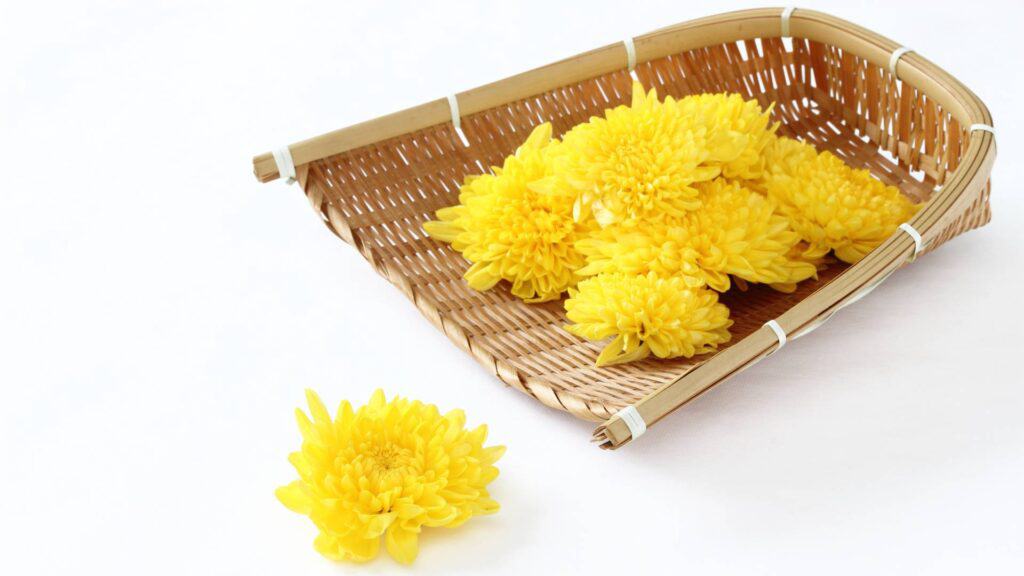 Chou-you-no-Sekku Featured Image