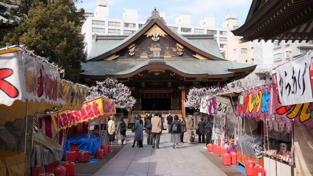 Plum Blossoms in Japan Yushima Tenmangu Shrine