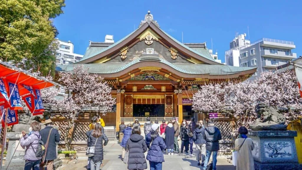 Plum Blossoms in Japan Yushima Tenmangu Shrine