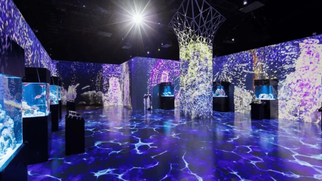 24 Date spots in Tokyo Maxell Aqua Park Shinagawa