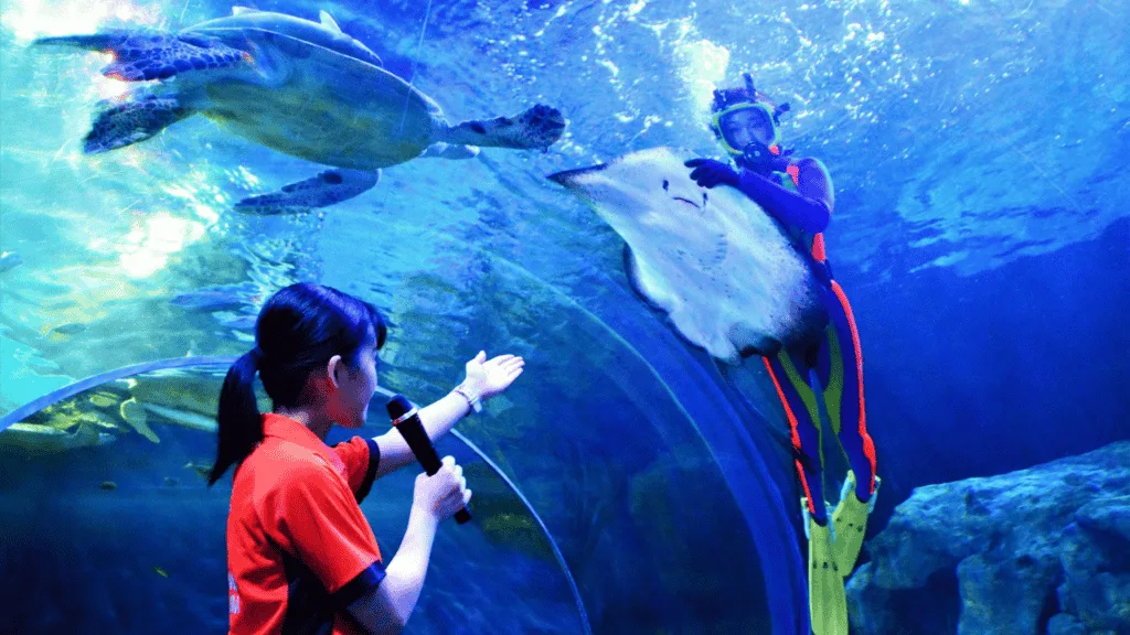 24 Date spots in Tokyo Shinagawa Aquarium