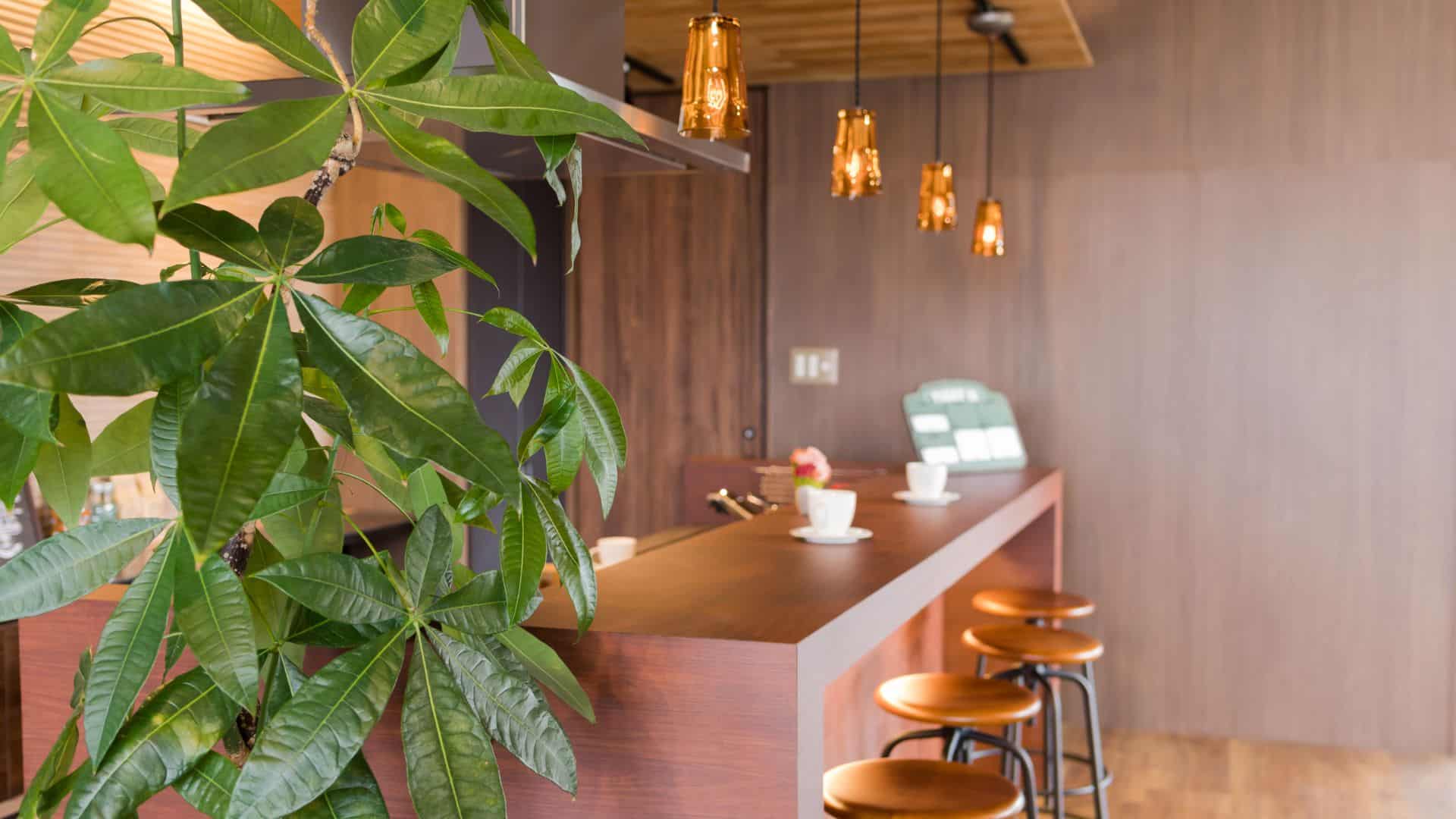 Cafes in Tokyo Featured Image