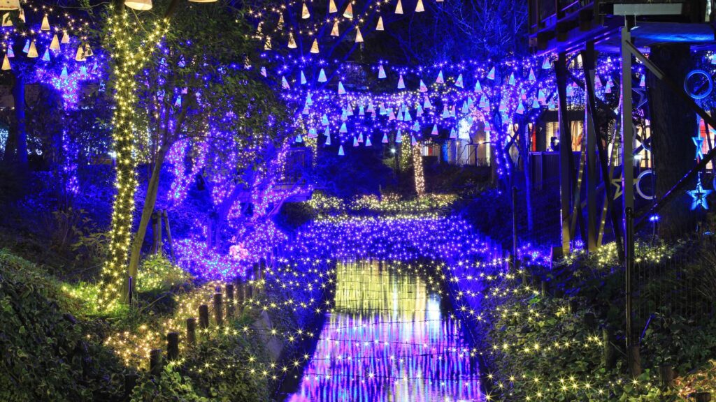 Free things to do in Tokyo Illuminations