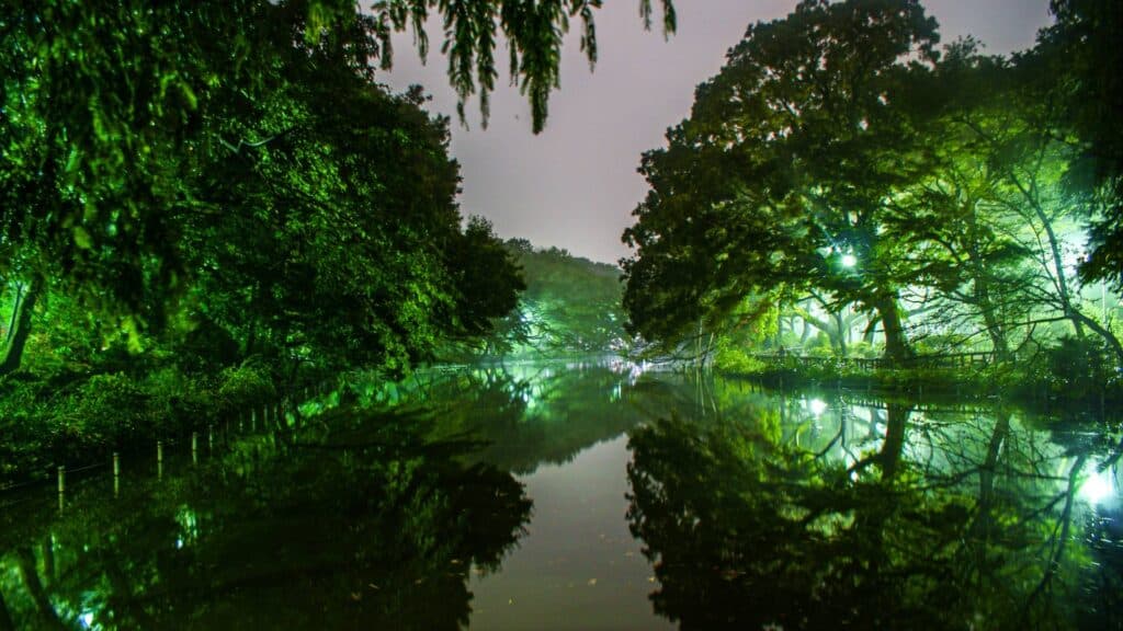 Free things to do in Tokyo Visit one of Tokyo’s gorgeous parks