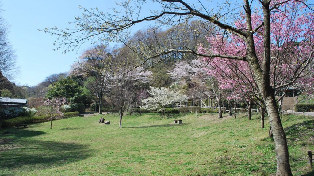 Kamakura Kamakura Central Park