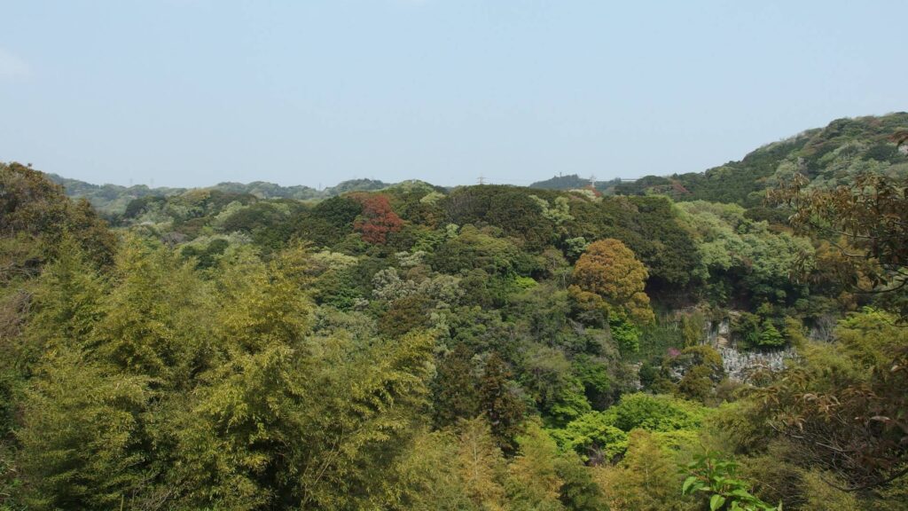 Kamakura Ten-en Hiking Course