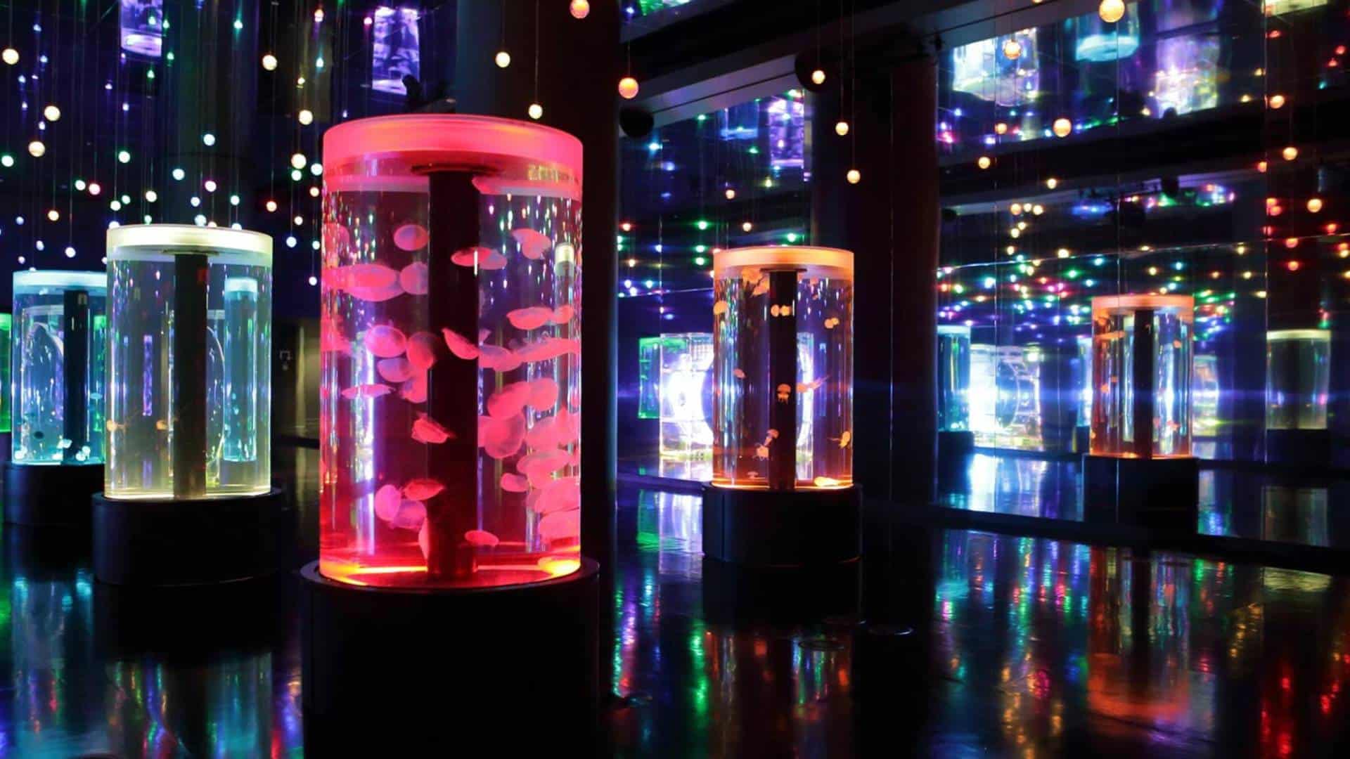 Instagrammable spots in Tokyo Maxell Aqua Park Shinagawa