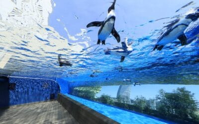 The Best Aquariums in Japan to Add to Your Summer Adventure