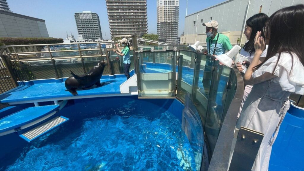 Instagrammable spots in Tokyo Sunshine Aquarium (Ikebukuro)1