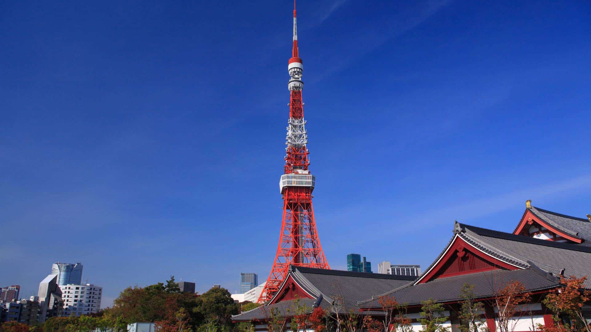Observatories in Tokyo Tokyo Tower Observatories in Tokyo Tokyo Tower
