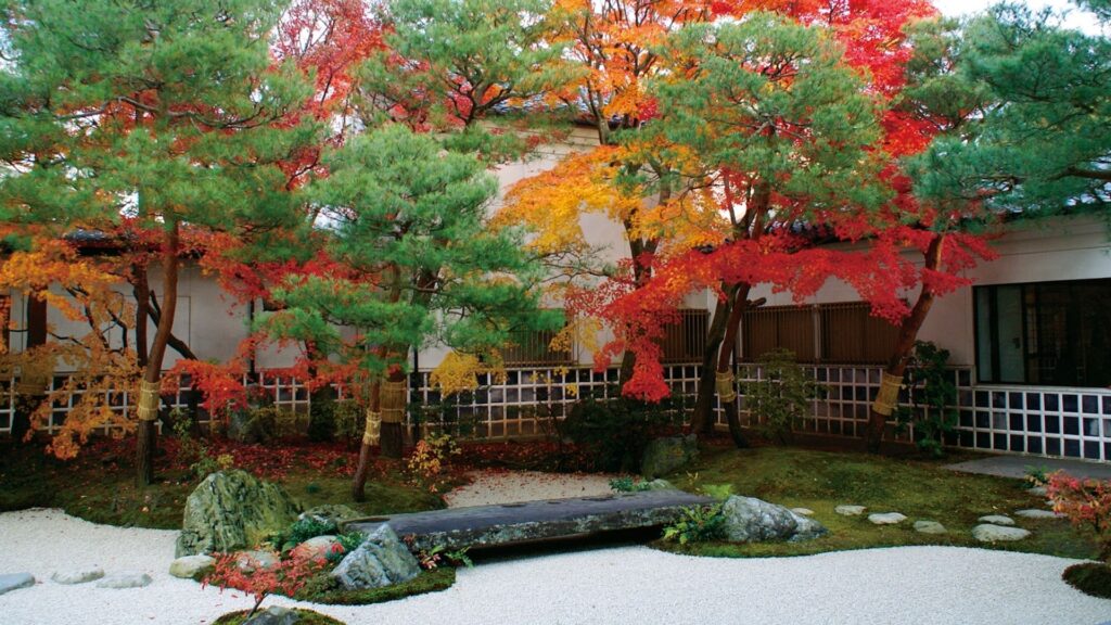 Autumn Leaves in Japan Adachi Art Museum