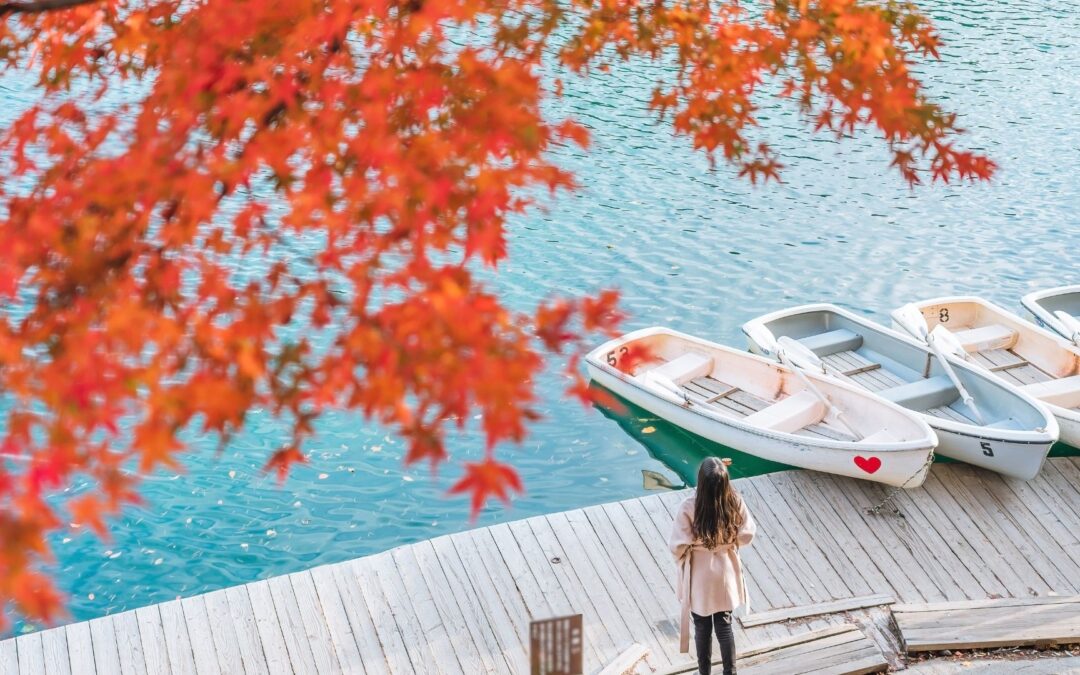 Autumn Leaves in Japan Goshikinuma