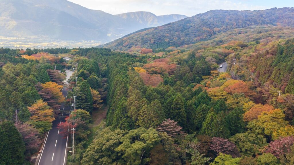 Autumn Leaves in Japan Hakone