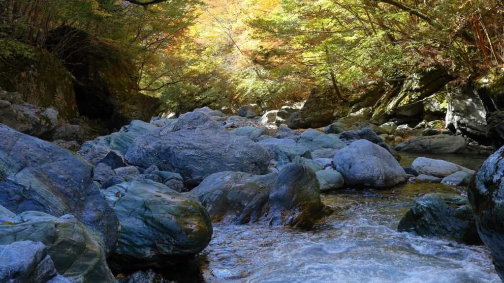 Autumn Leaves in Japan Iya Onsen