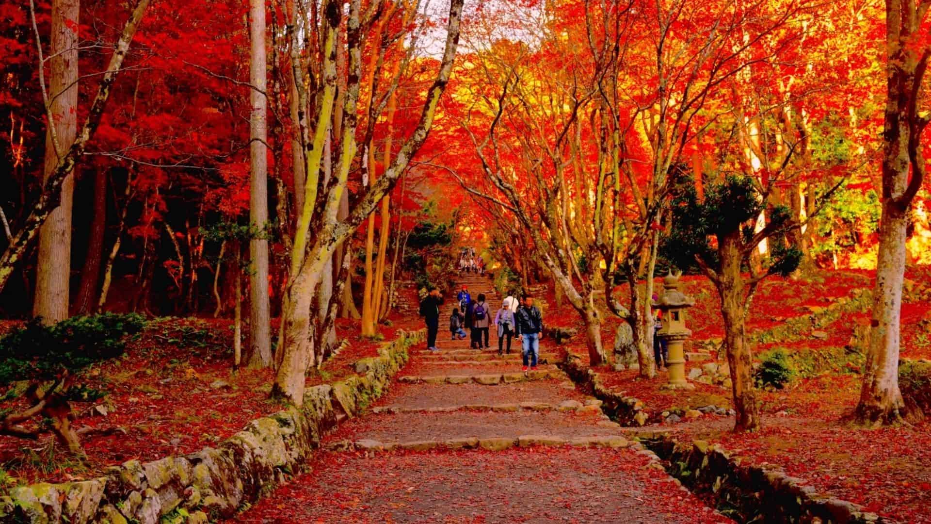 Autumn Leaves in Japan Keisoku-ji Temple Autumn Leaves in Japan Keisoku-ji Temple