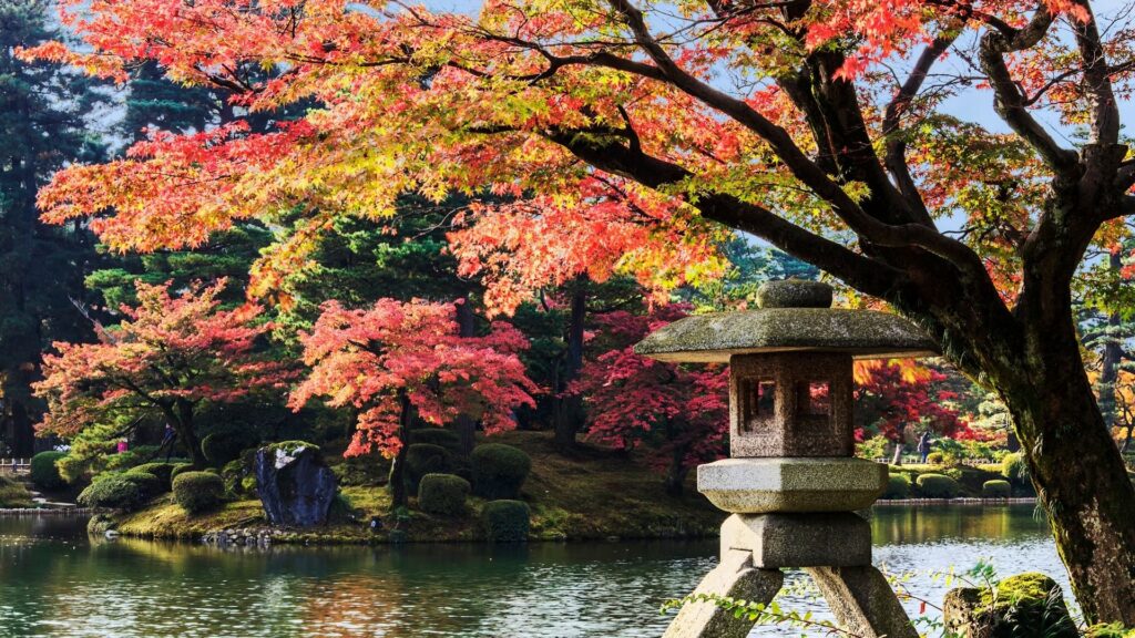 Autumn Leaves in Japan Kenrokuen Garden