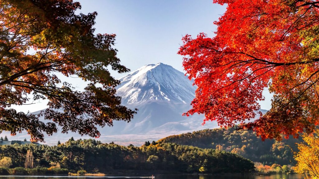 Autumn Leaves in Japan Lake Kawaguchiko