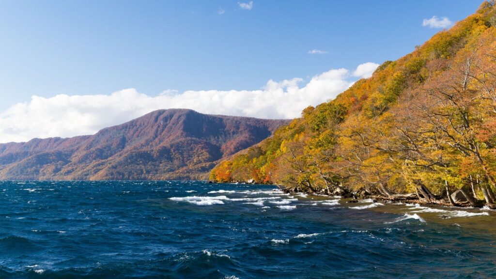 Autumn Leaves in Japan Lake Towada