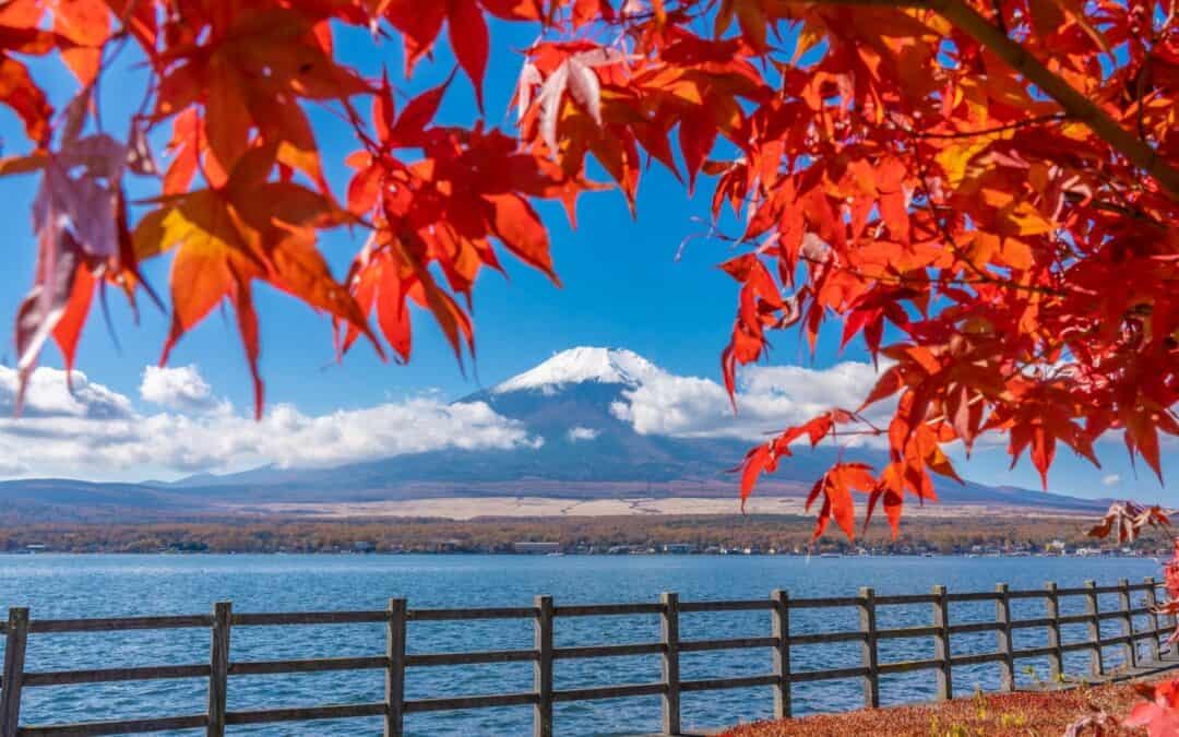 November in Japan: Fall Foliage and Seasonal Feasts