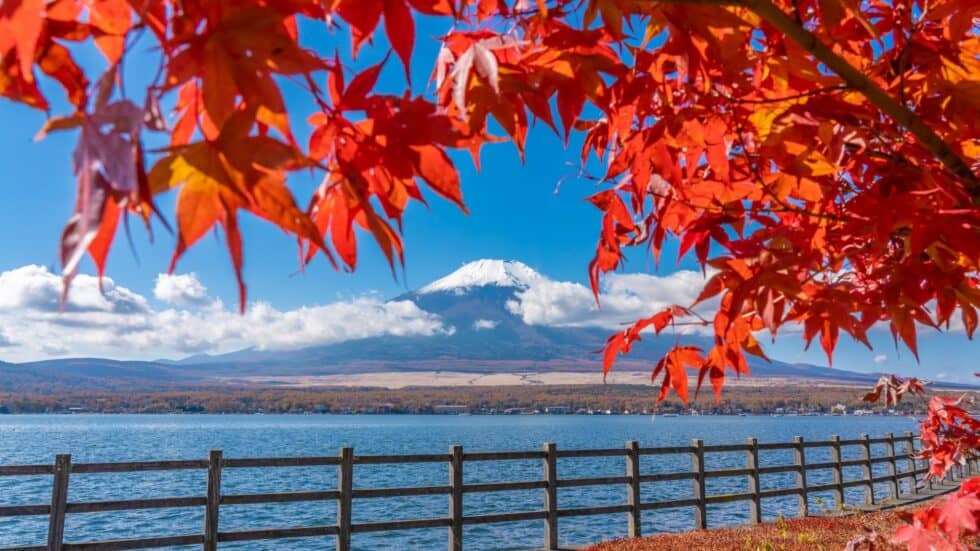 Autumn Leaves in Japan Lake Yamanaka