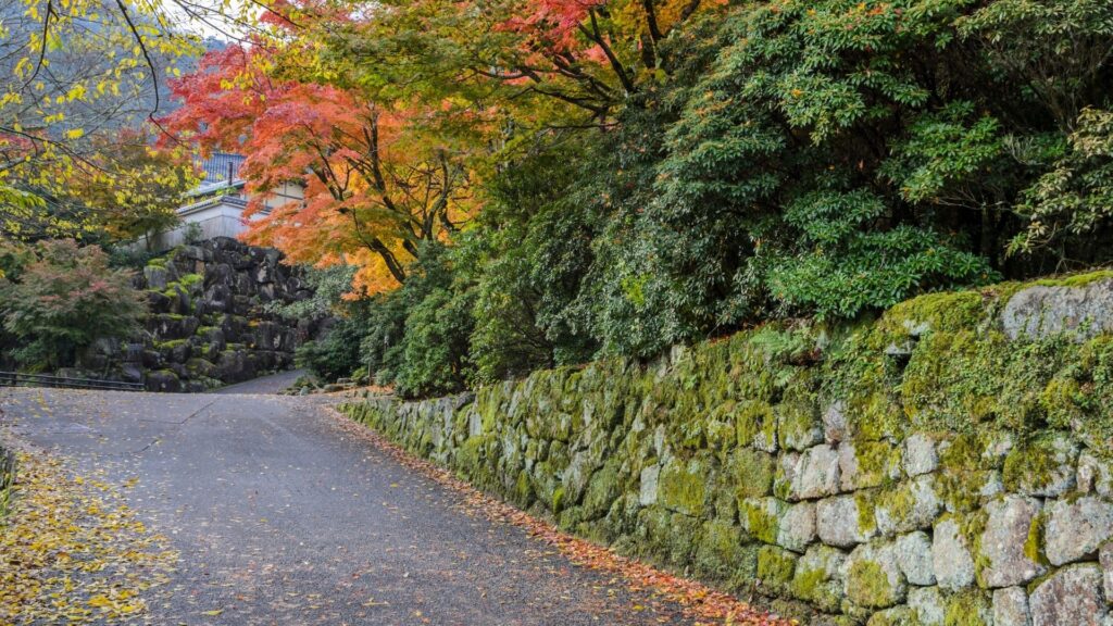 Autumn Leaves in Japan Miyajima