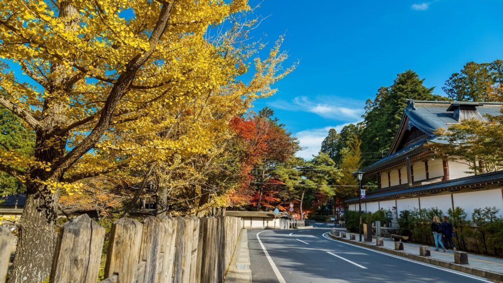 Autumn Leaves in Japan Mt. Koya