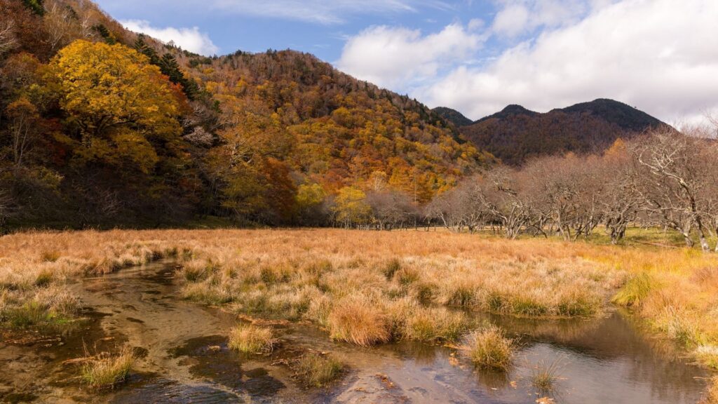 Autumn Leaves in Japan Nikko
