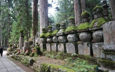 Kyoto and Osaka Day Trips to Add to Your Itinerary