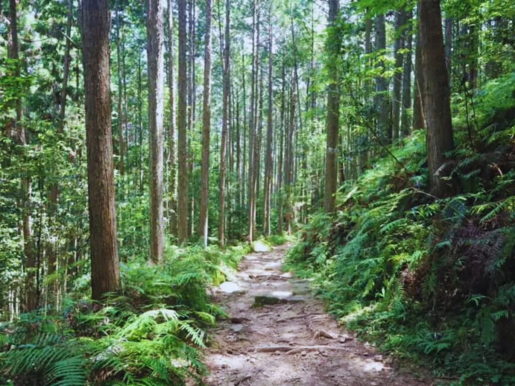 Kumano Kodo