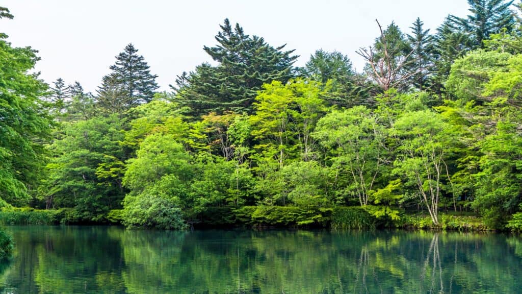 Where to go on holidays in summer in Japan Karuizawa