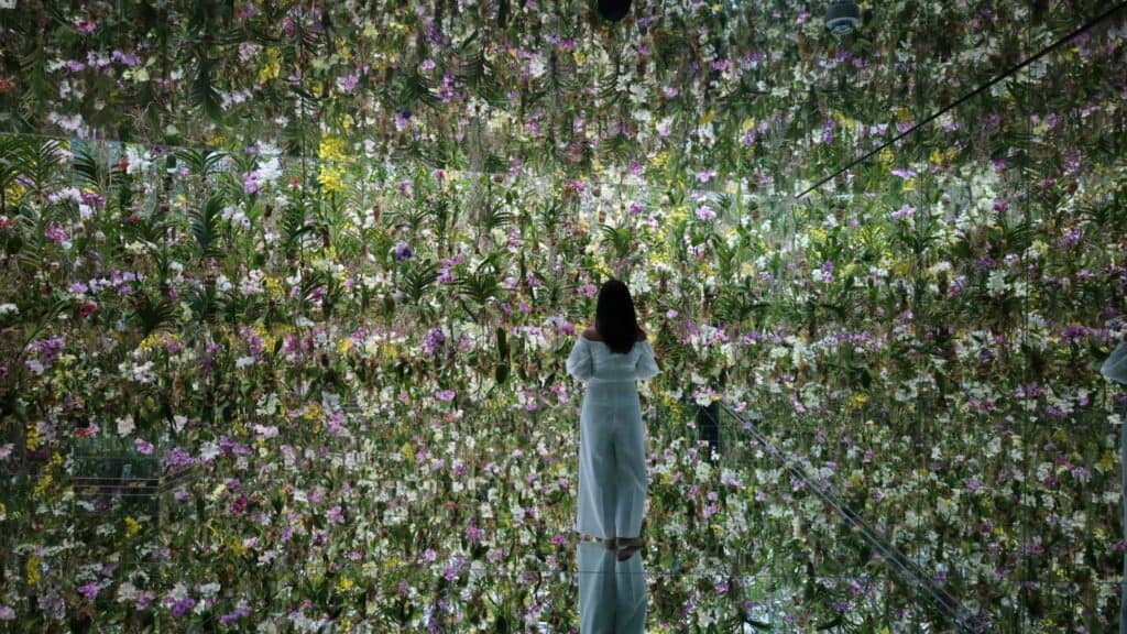 Teamlab Planets_ Everything you need to know Floating Flower Garden -1