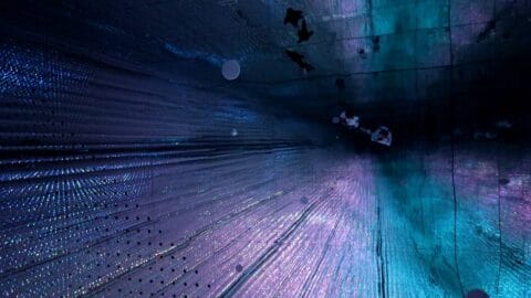 16 TeamLab Planets Tips And Tricks For Making The Most Of Your Visit