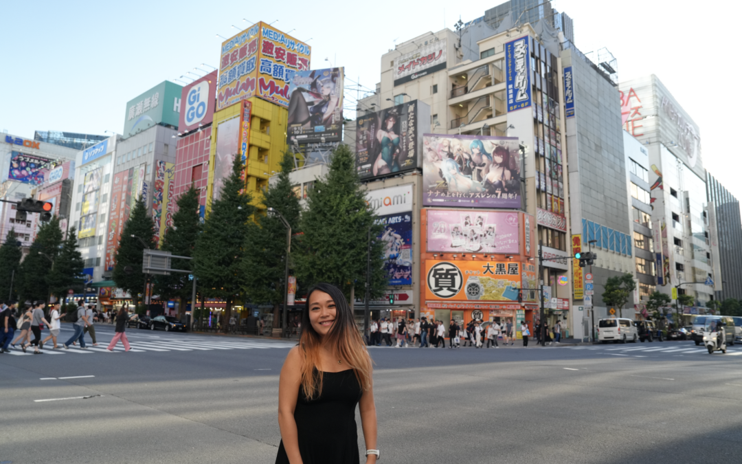 Tokyo-Akihabara-Venese in street crossing in front of Daikokuya-landscape-2