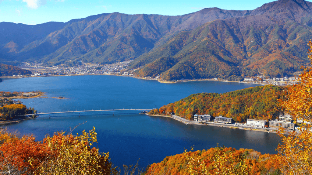 November in Japan autumn leaves