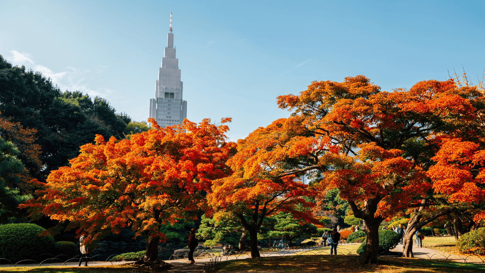 10-day Japan Itinerary Day 1_ Tokyo (2)