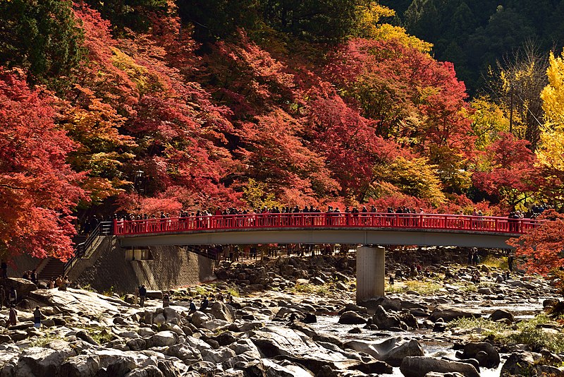 Best Places in Japan to Visit in Autumn: 20 Breathtaking Destinations Across the Country